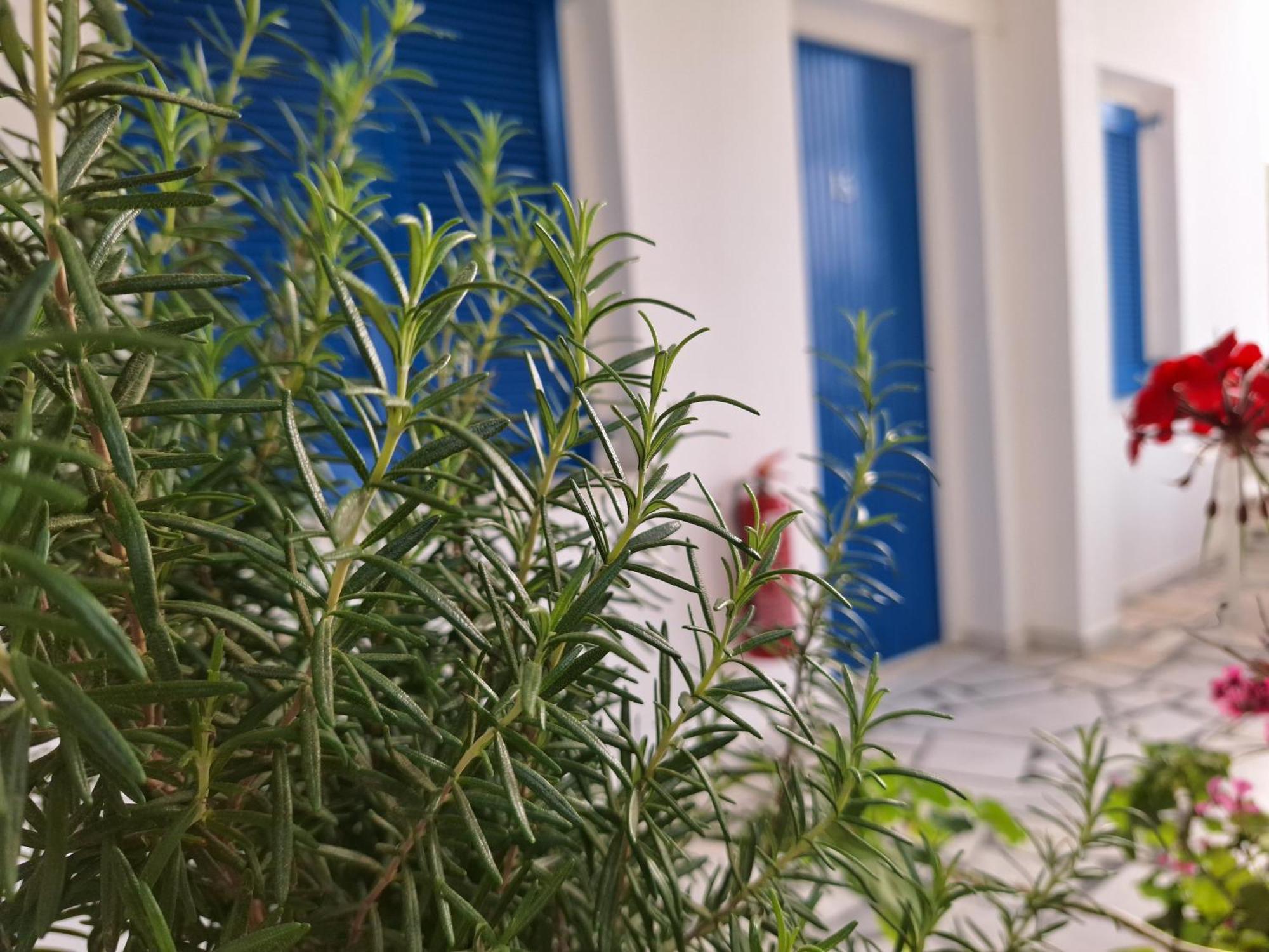 Εvi Evan Hotel Galissas Exterior foto