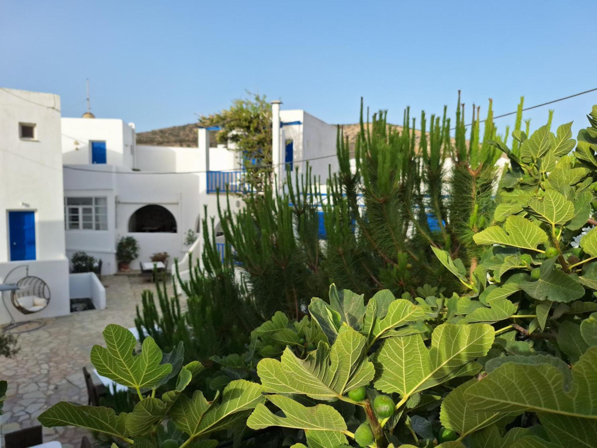 Εvi Evan Hotel Galissas Exterior foto