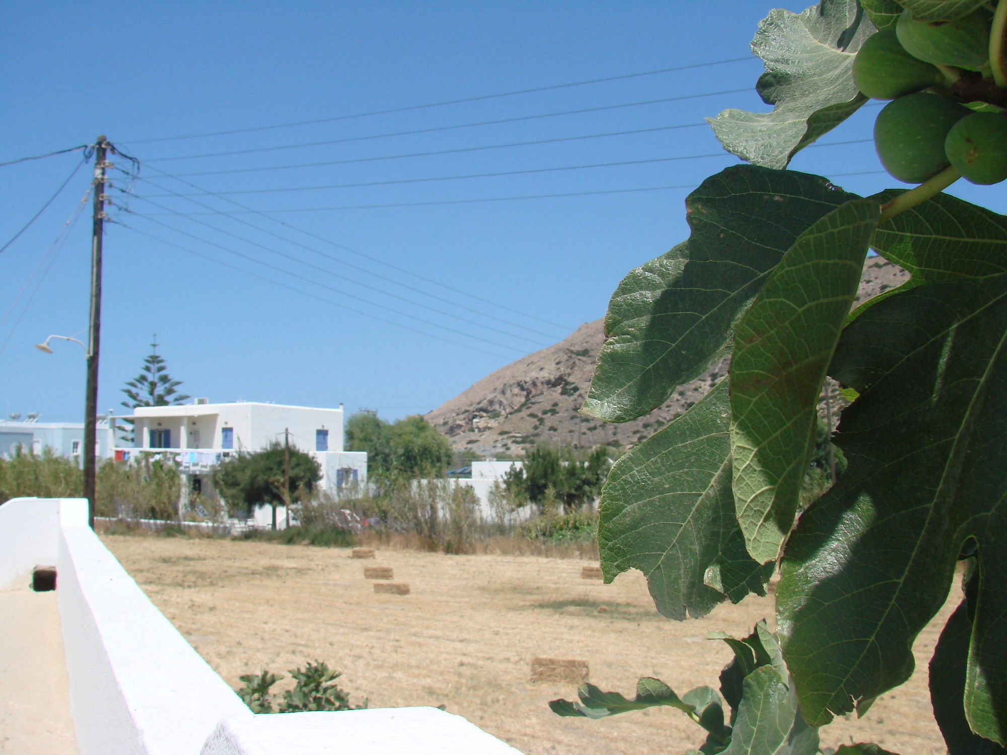 Εvi Evan Hotel Galissas Exterior foto